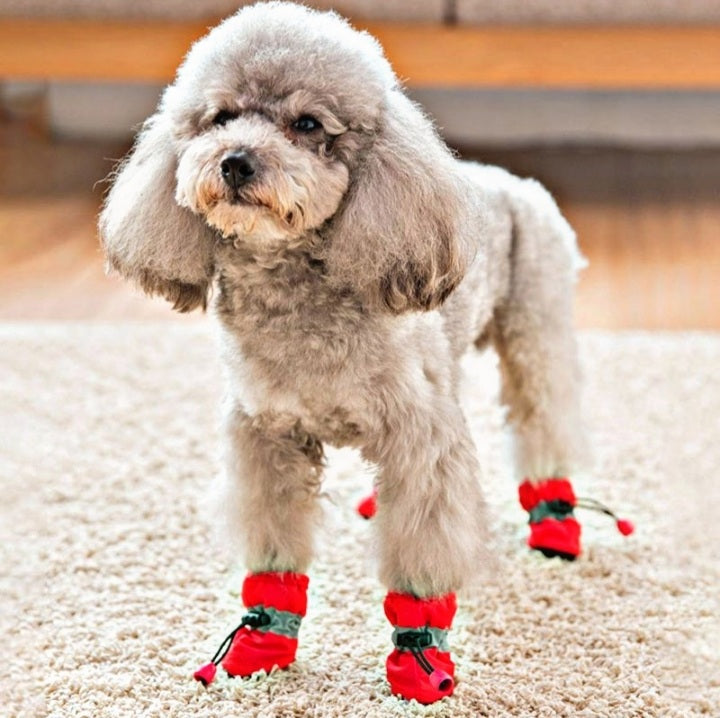 Botas Impermeables para Perros y Gatos – Protección Antideslizante
